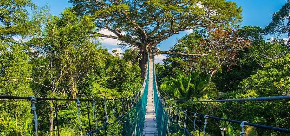 Tambopata, Peru